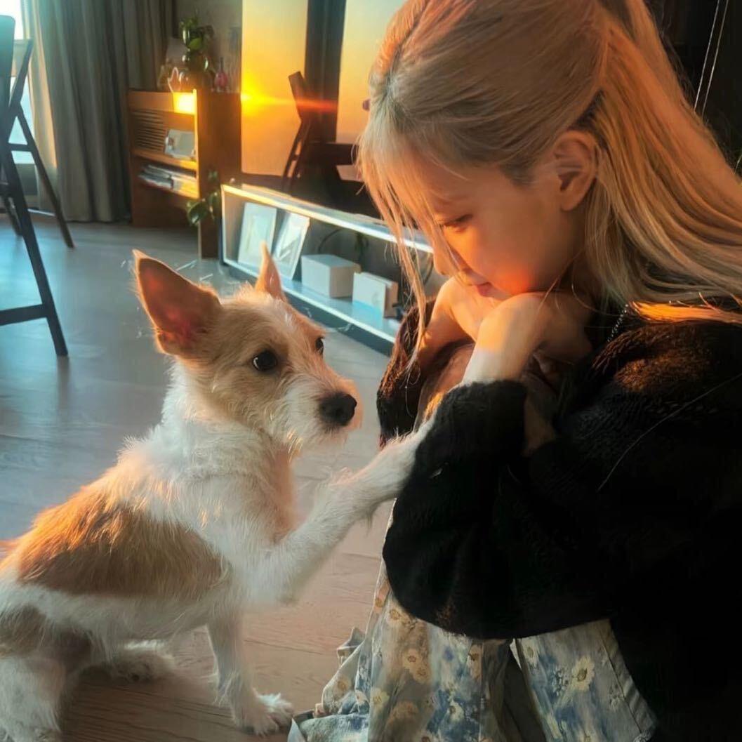 ㅤ  ㅤㅤ︍ ㅤ