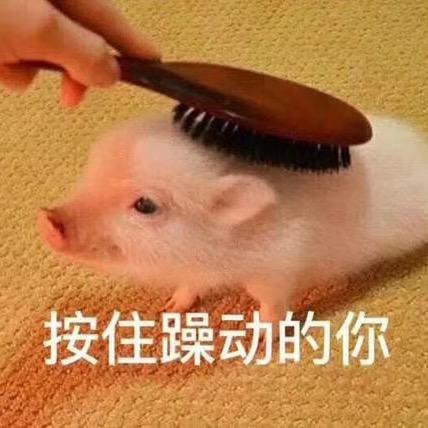 元气少女赵本山