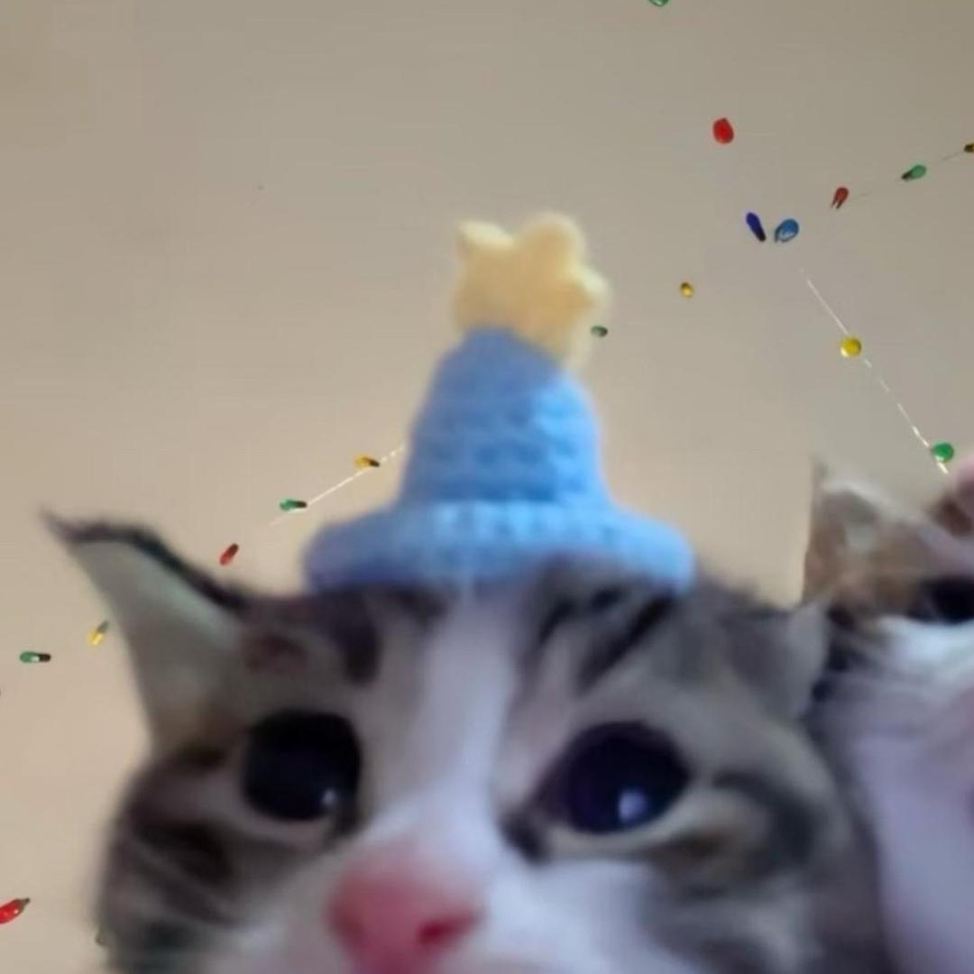 www