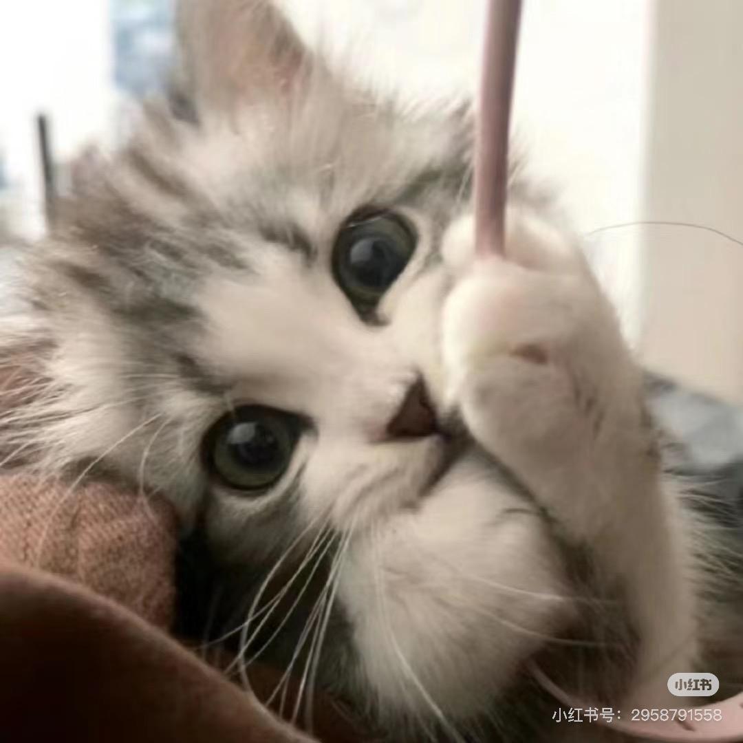 铁锈小熊