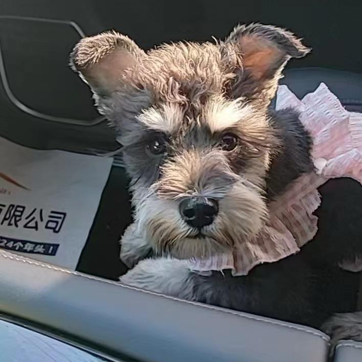 @钱多多