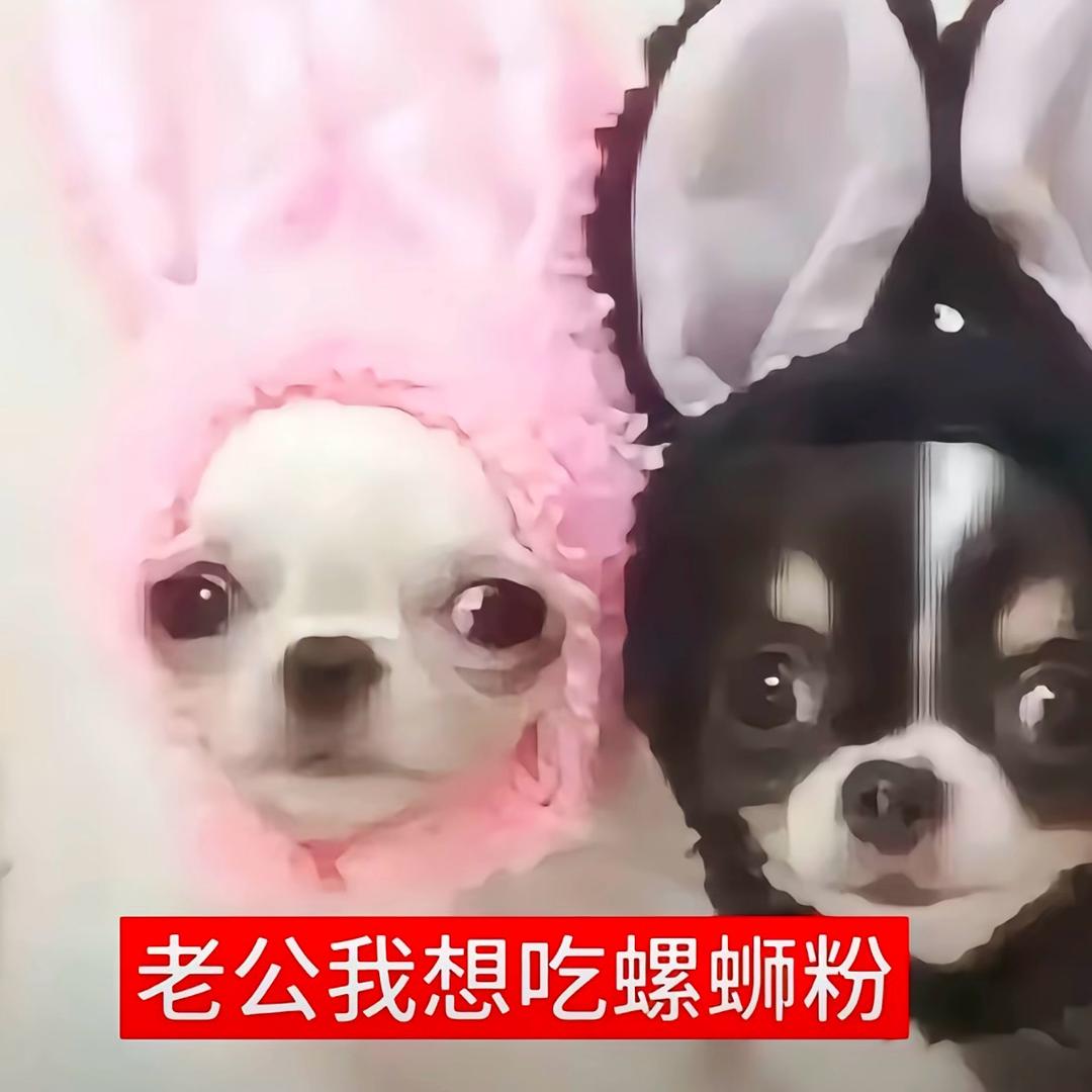 来点儿米饭
