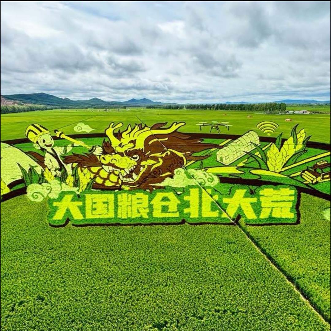 东北特产食品优选