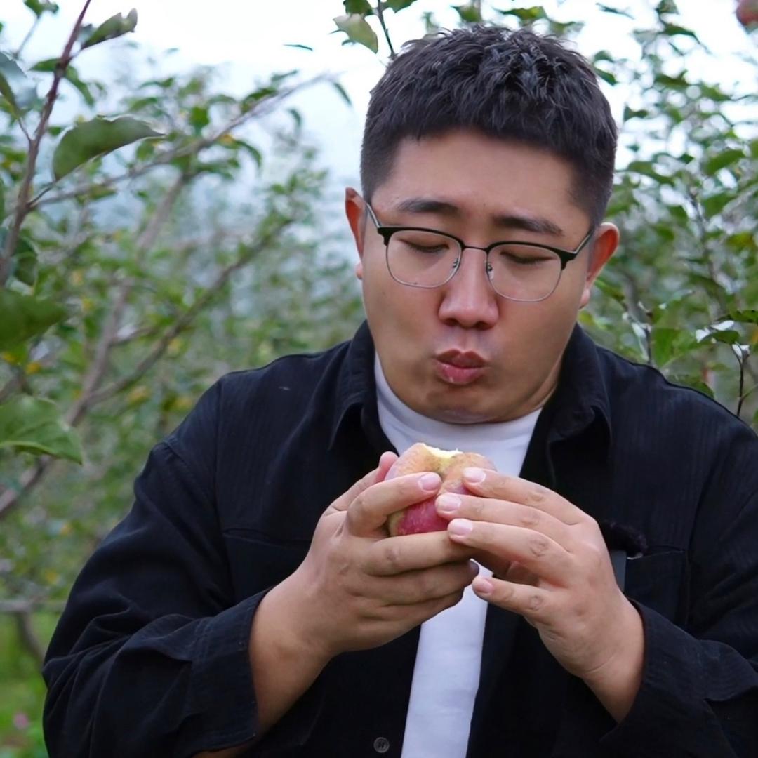 寻果拾三
