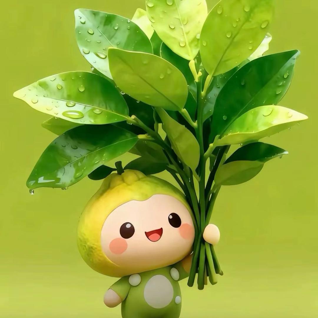 🌾💋袖子皮