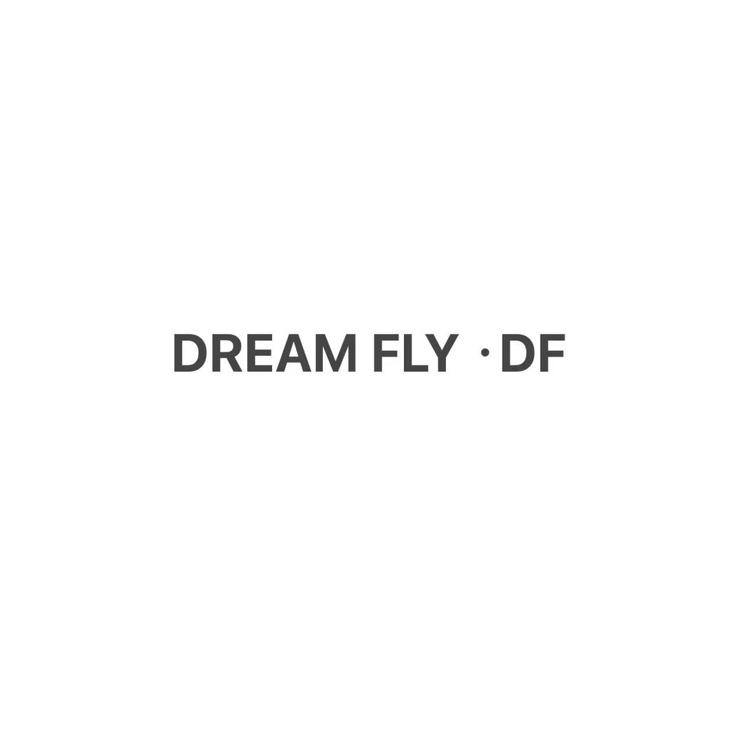 DREAM FLY -晓梦