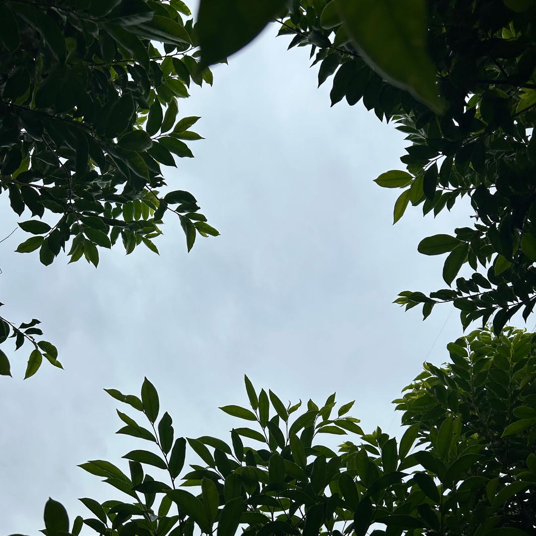 金钰钰潮玩基地