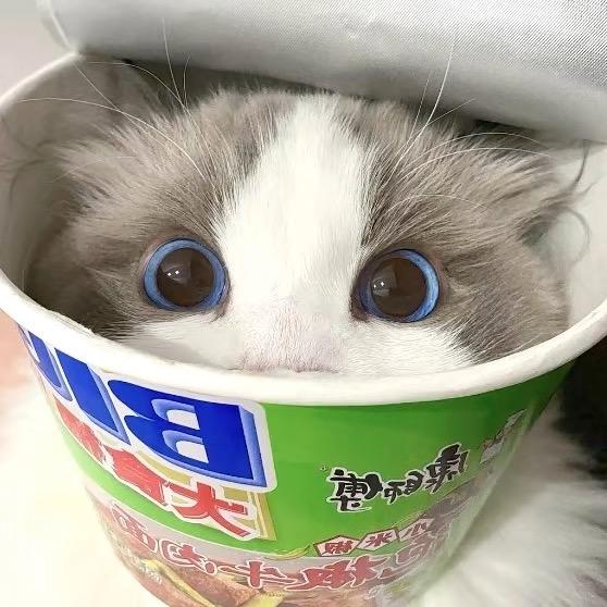 我再也不会伤心