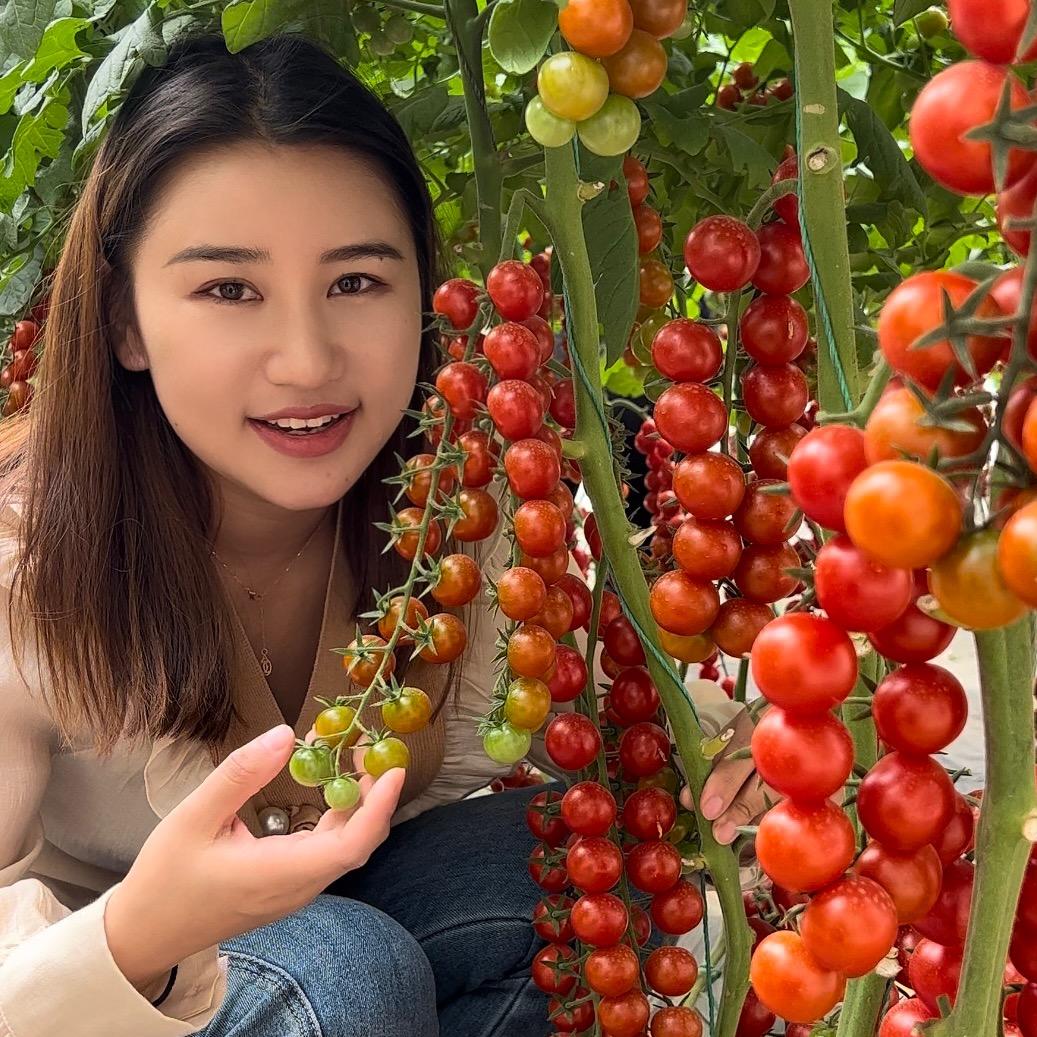 农点赞官方旗舰店