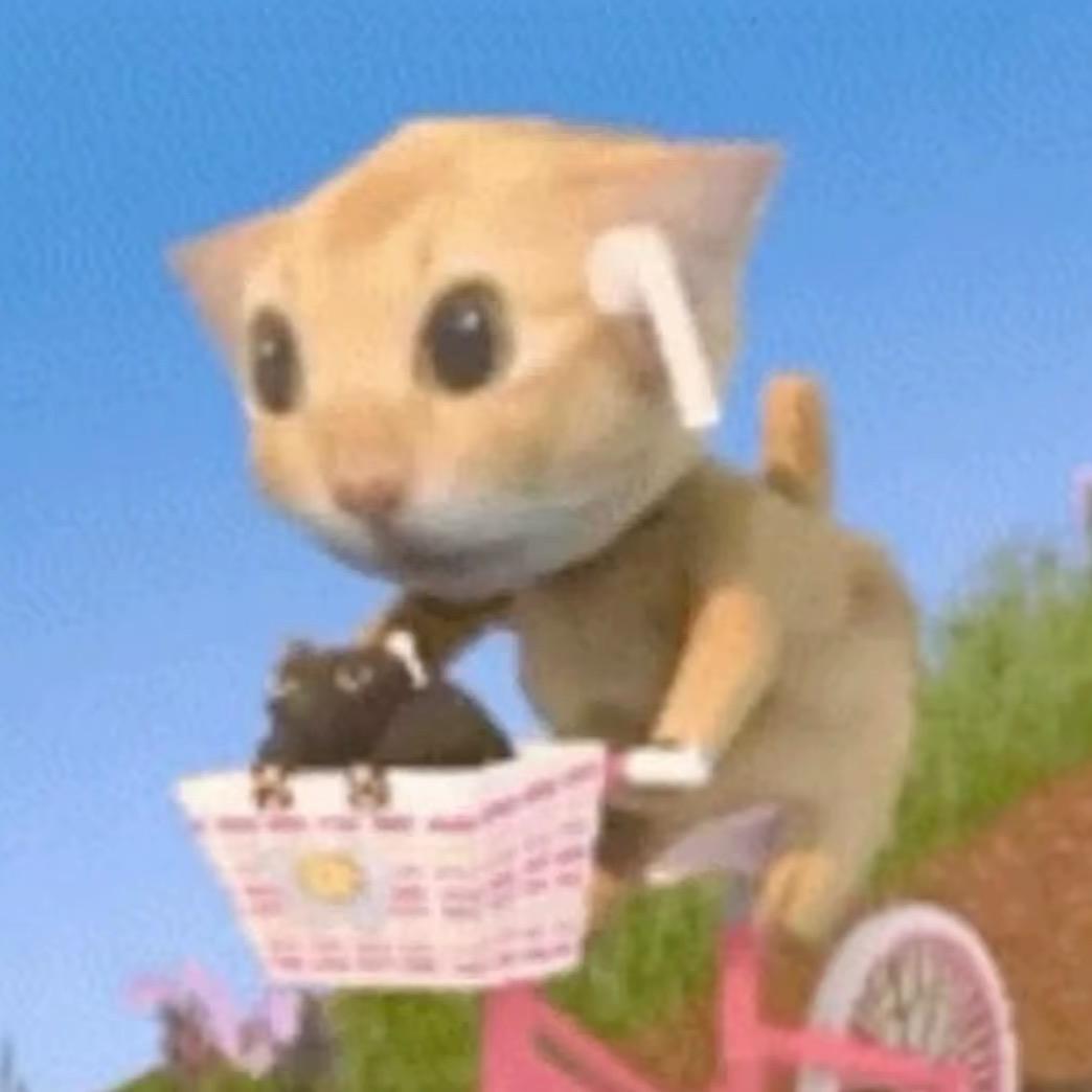 🐈🐈🐈