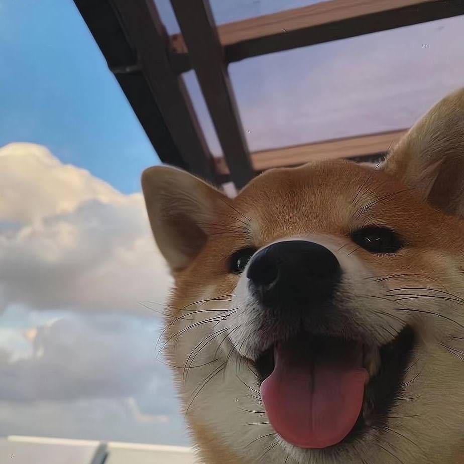 荒岛
