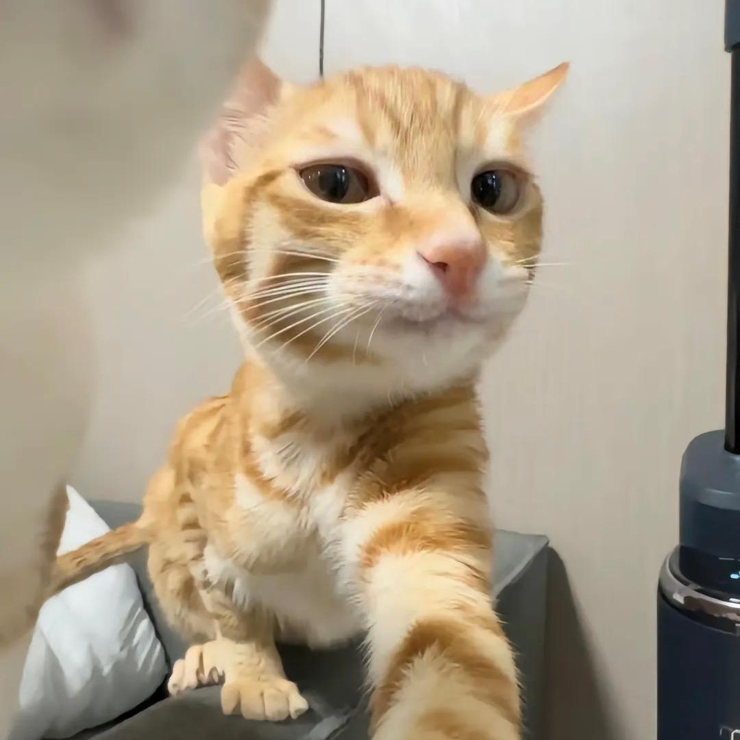 %
