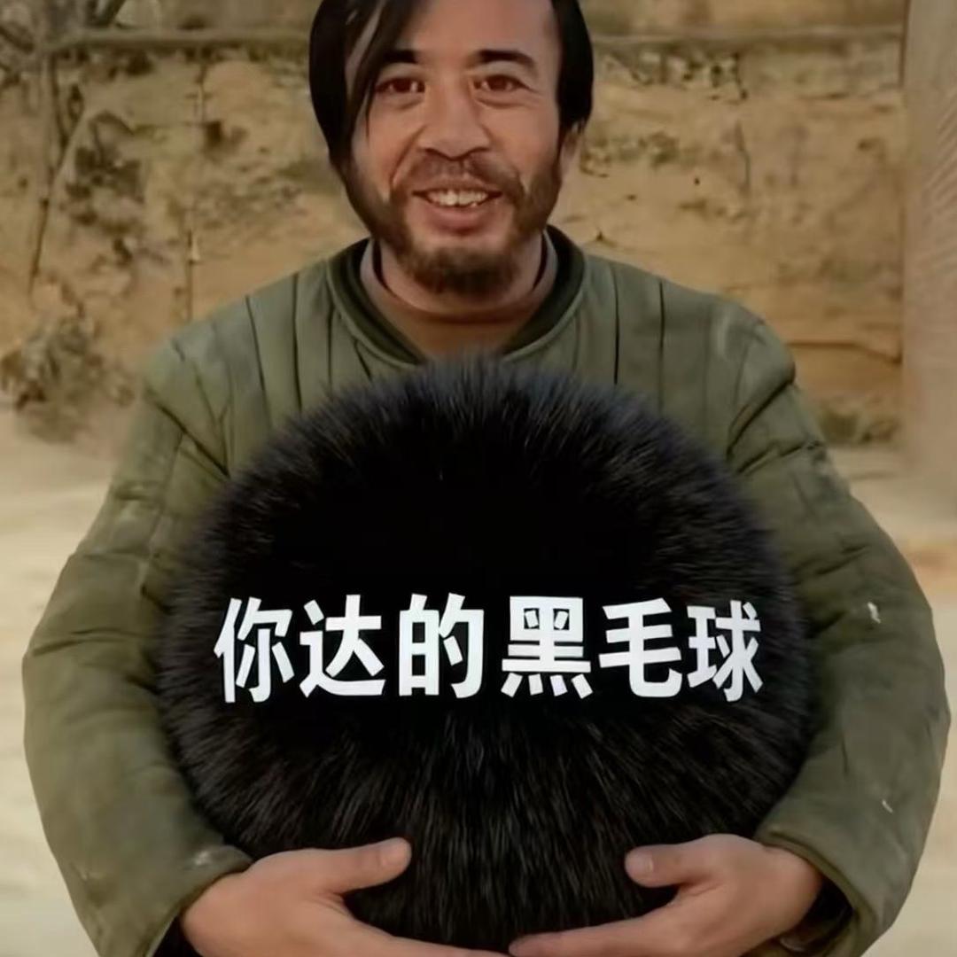 海瑞把炎阳叠了