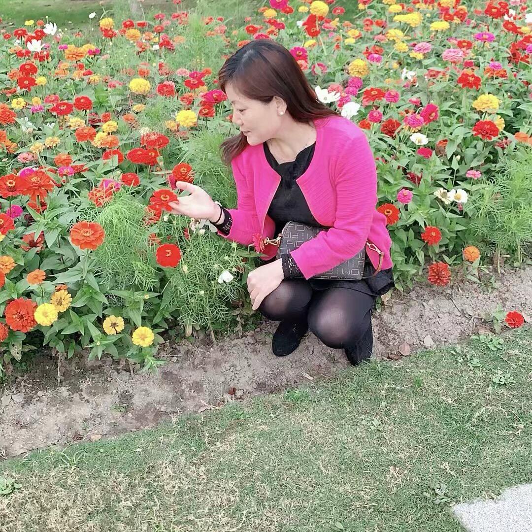 🌹❤️一帘幽梦❤️🌹