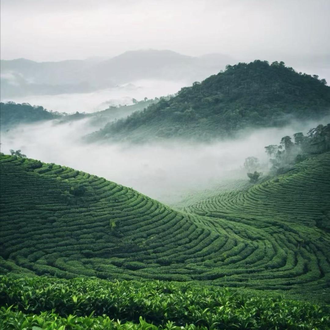 悦美境小铺