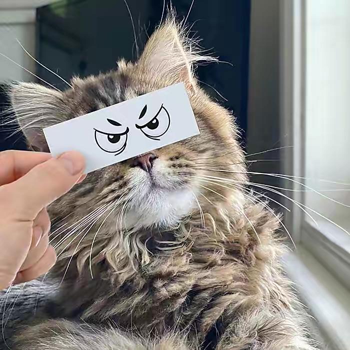 鹿rry