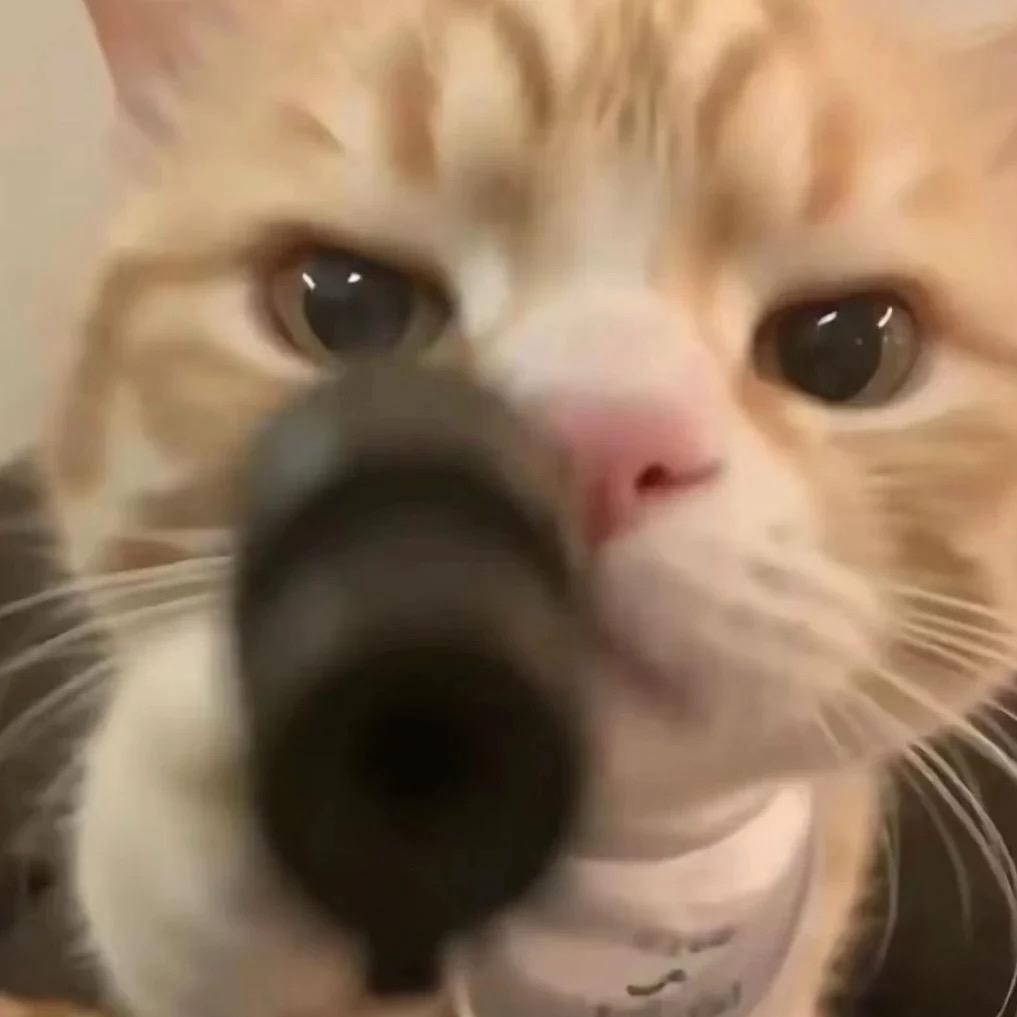 一个达不刘女士