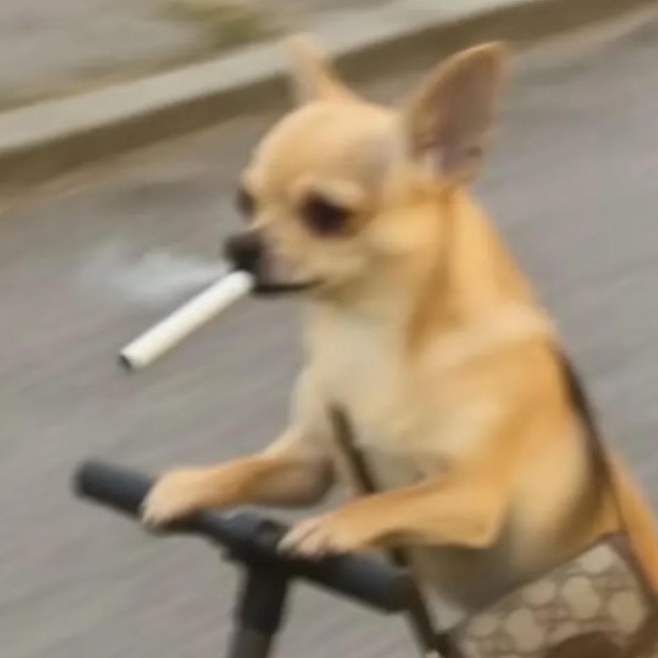 啥也不是