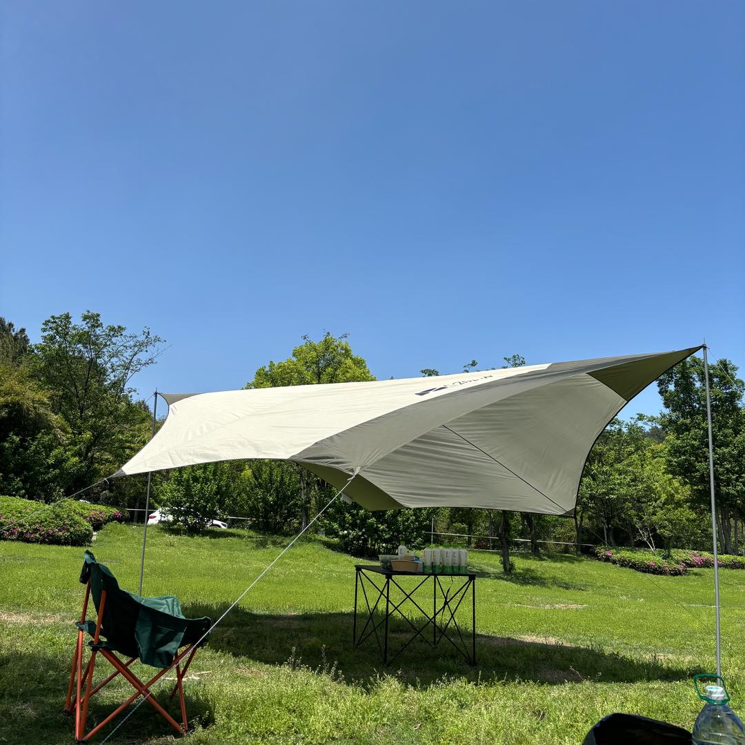 铁郭炖大鹅
