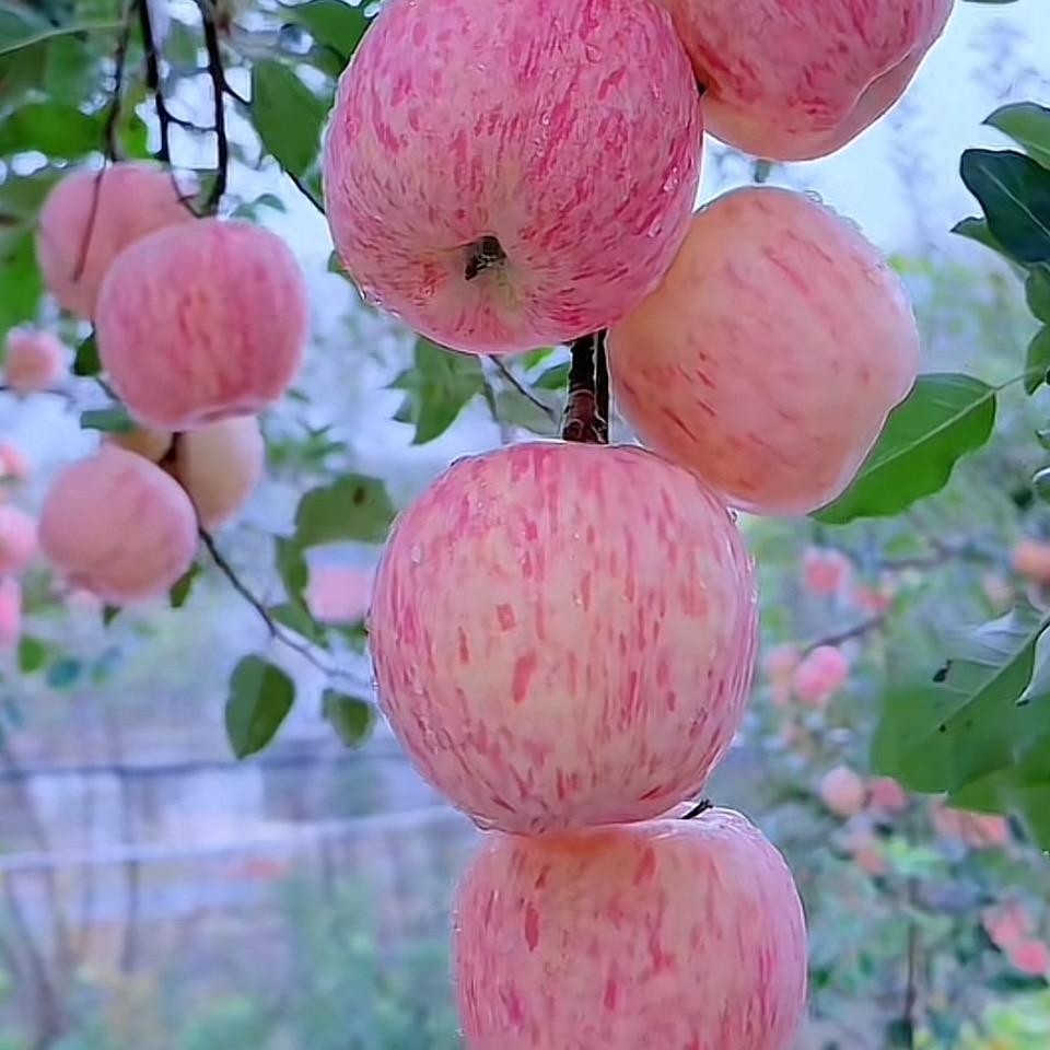 好心情