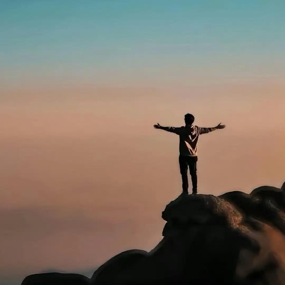 陈总电商（达播分销）