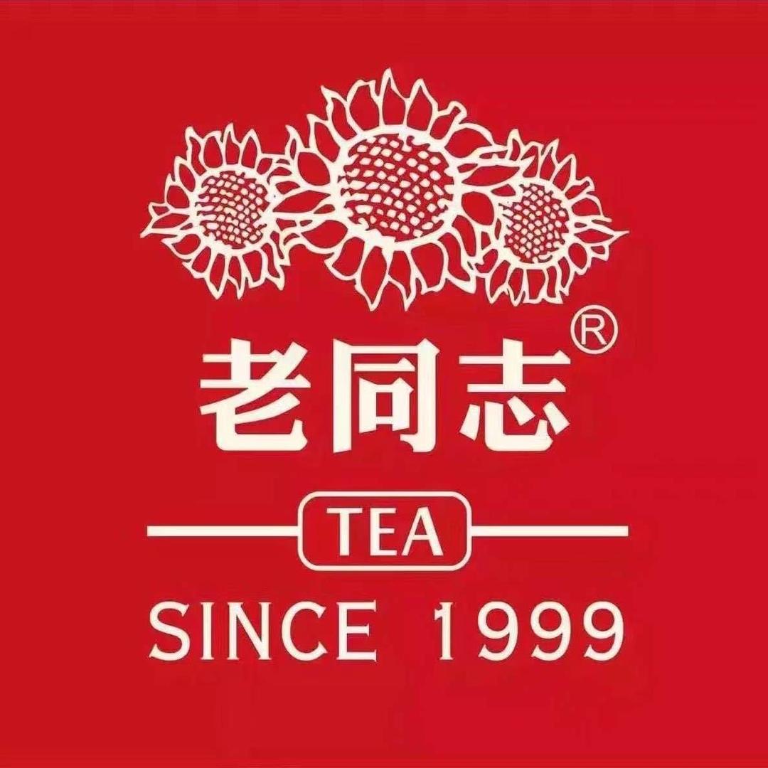 普洱 白茶