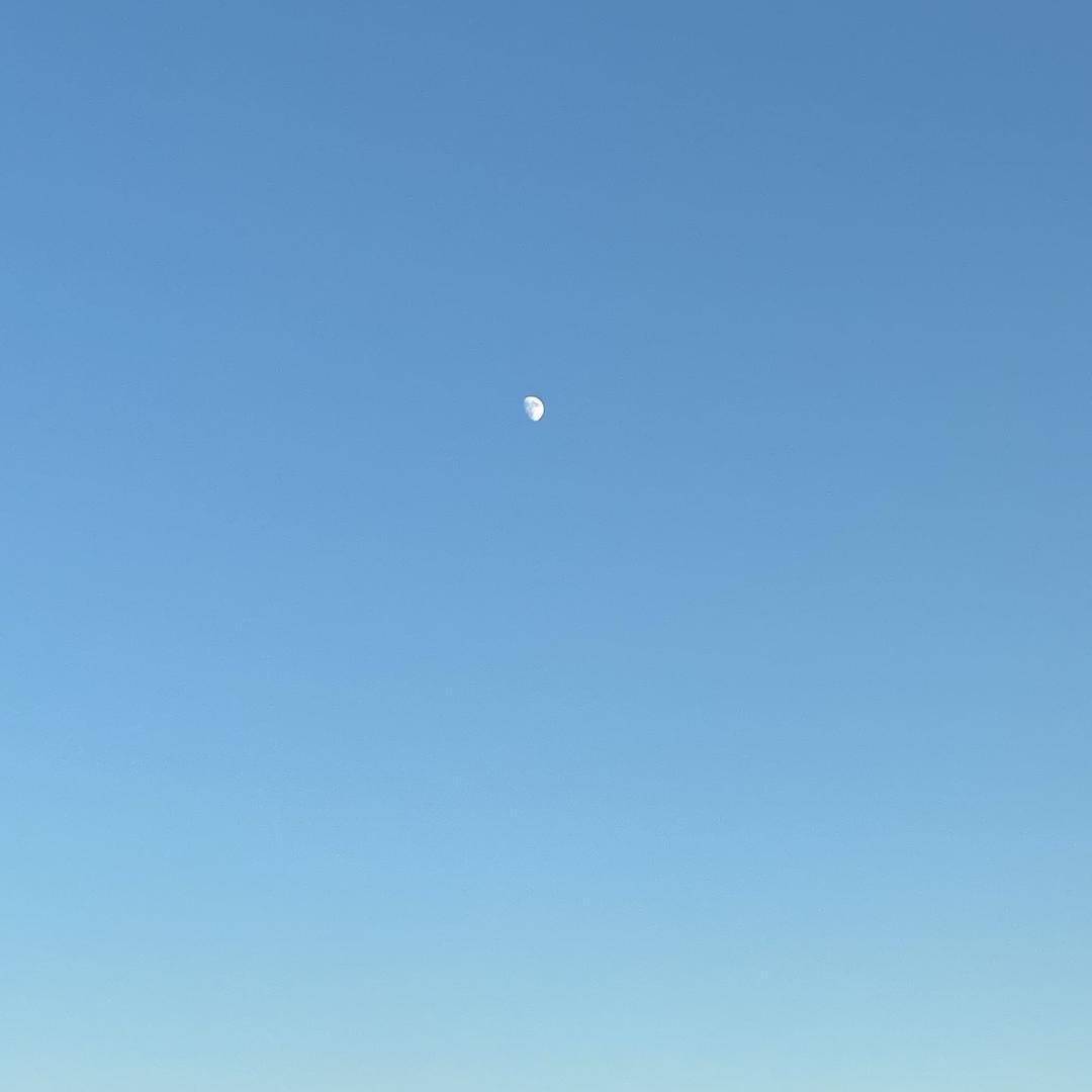 yugggg