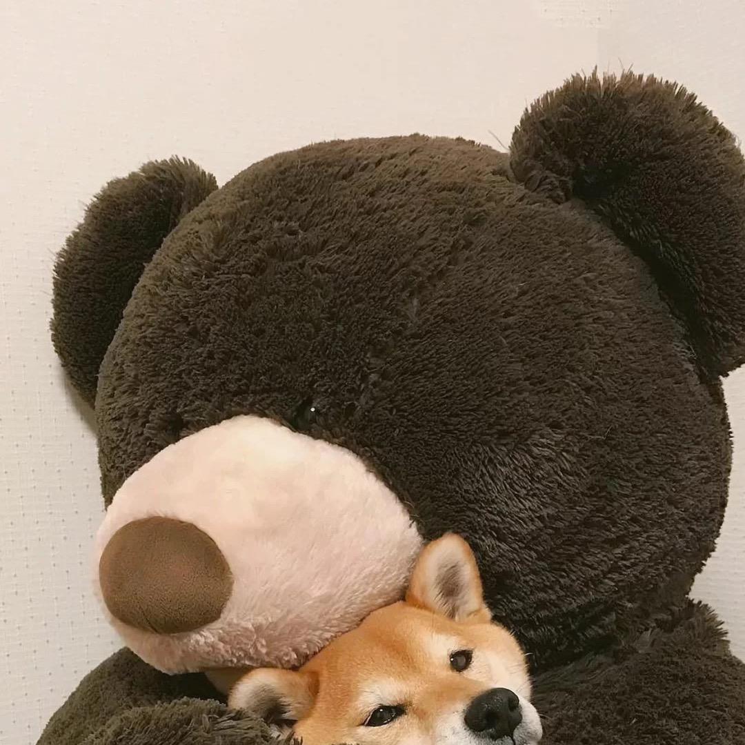 珂壮士