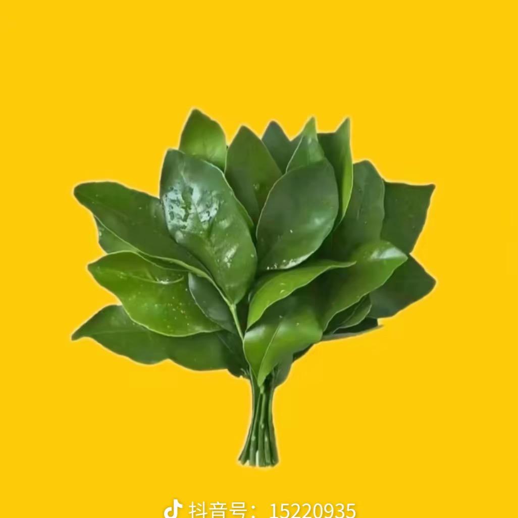 三哥的音乐频道