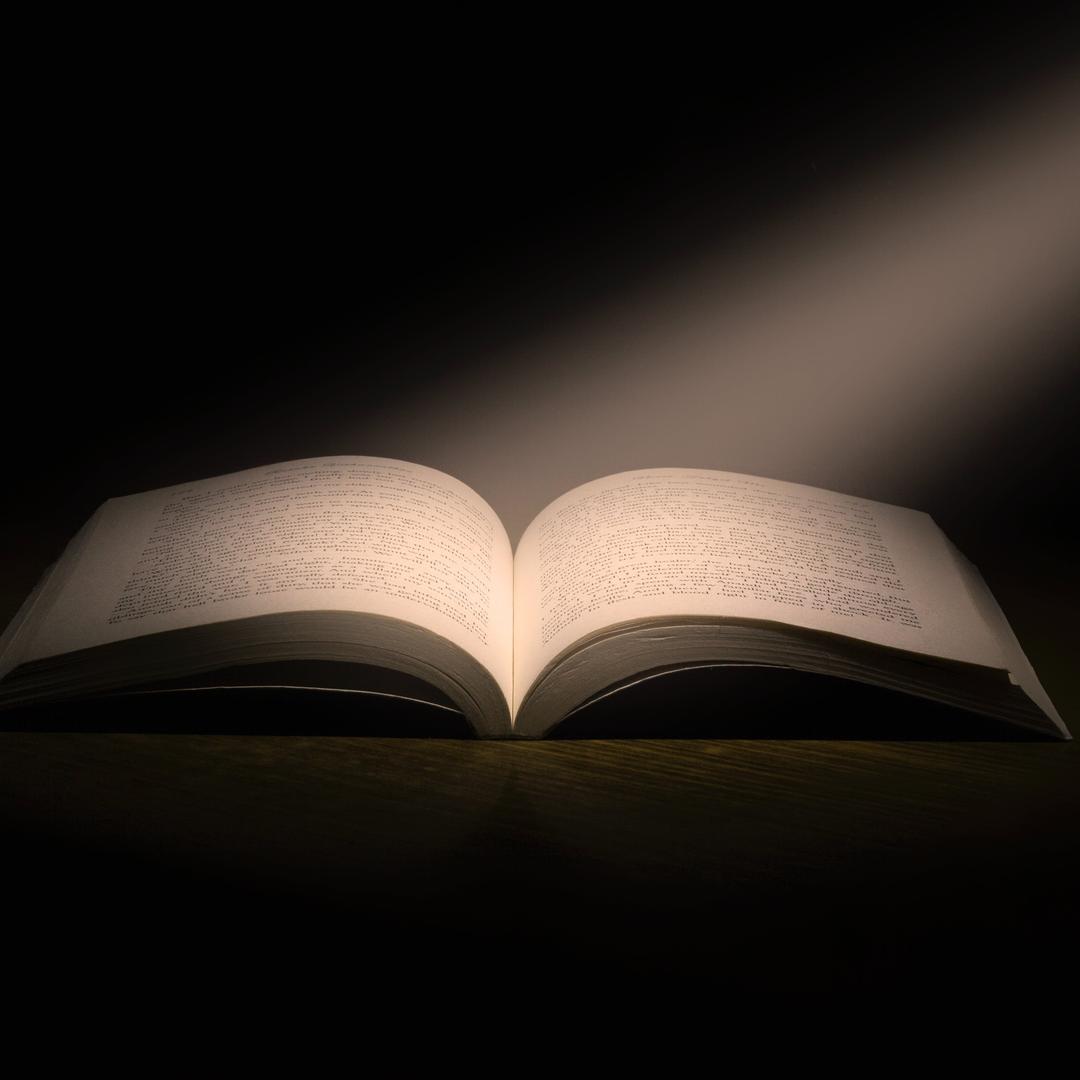 小初高学生的书架