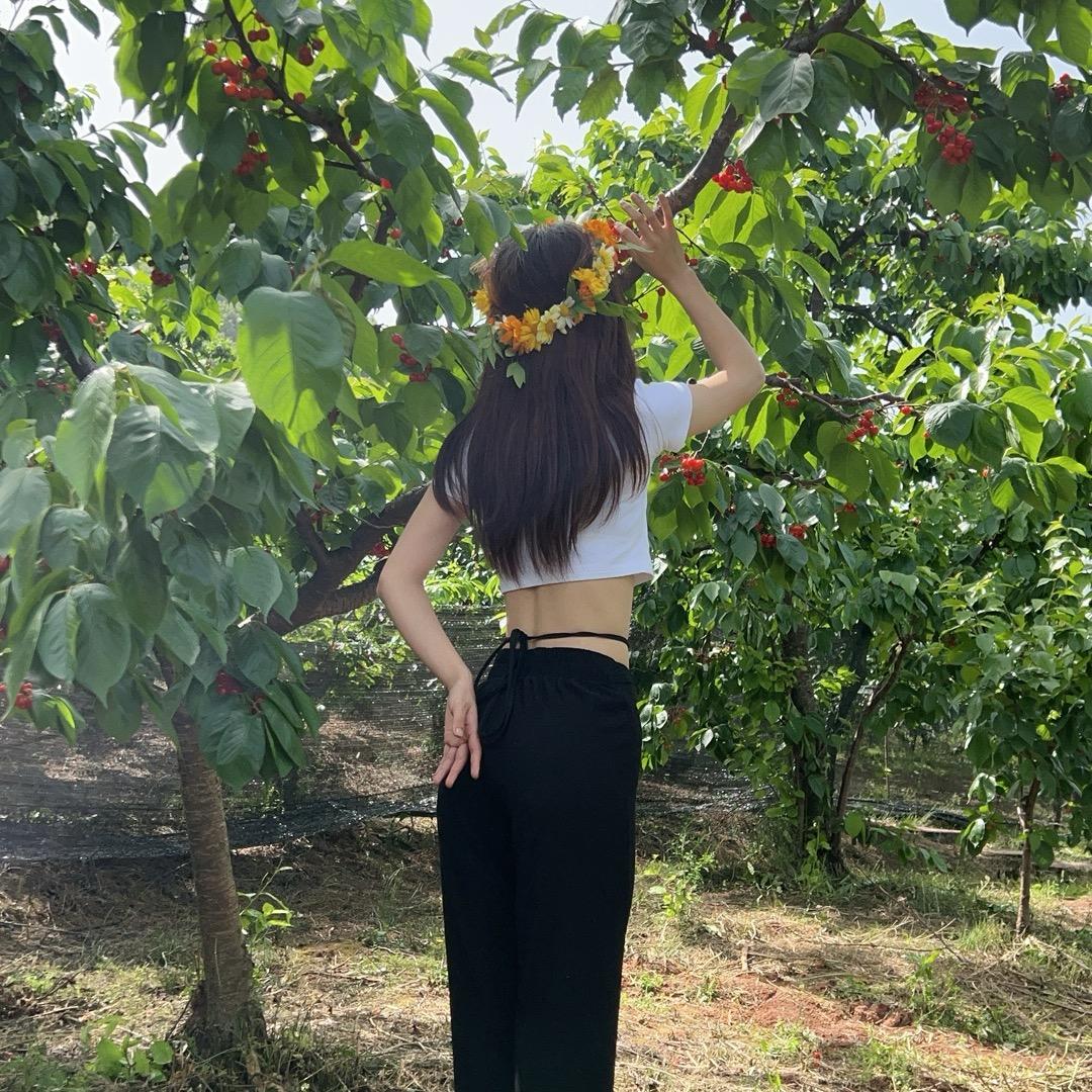 蓝莓舞社  清酒