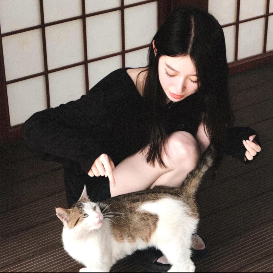 你是不是油猫饼