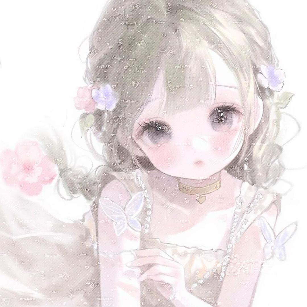 菲宝喵喵