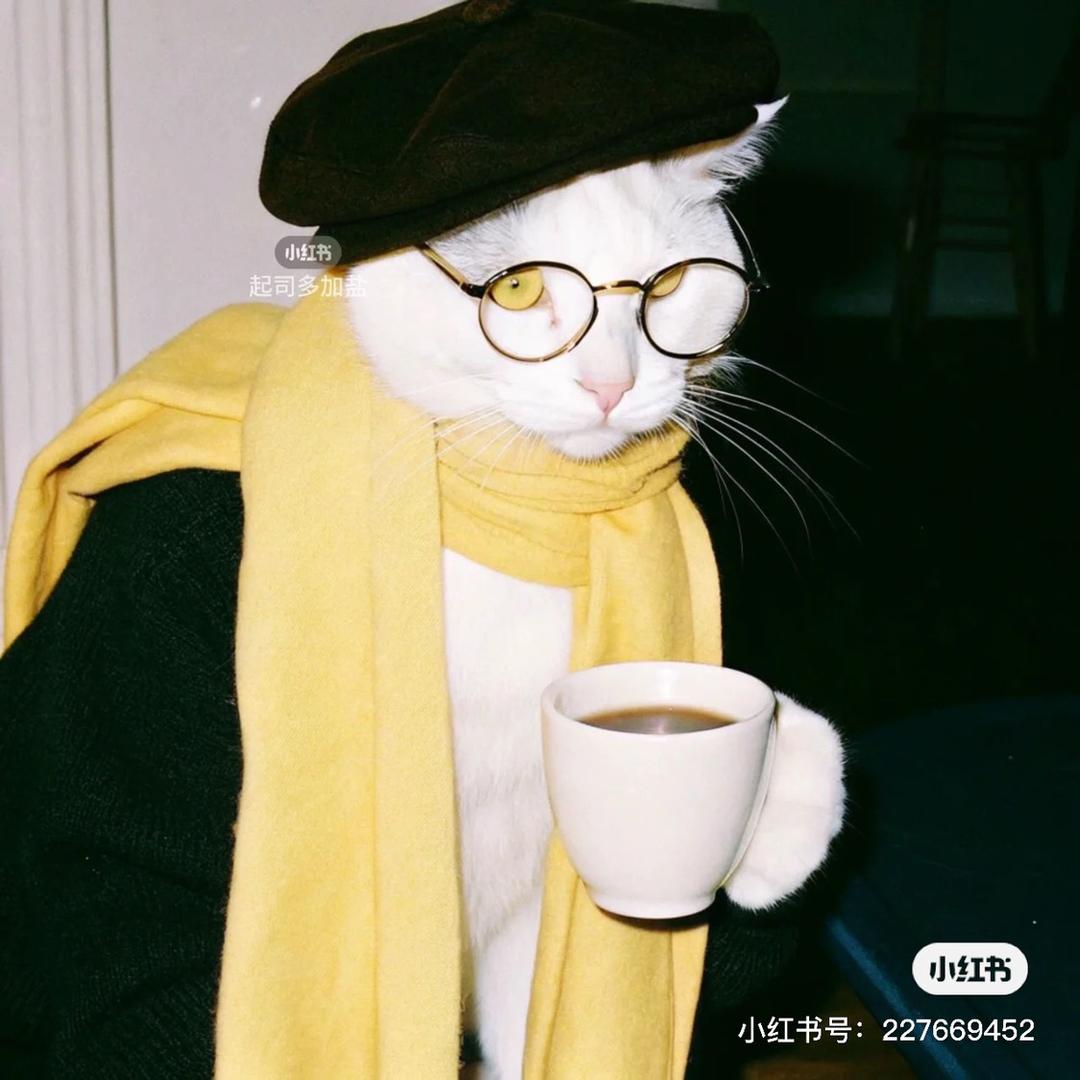 琪琪008