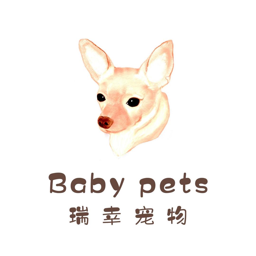 瑞幸宠物