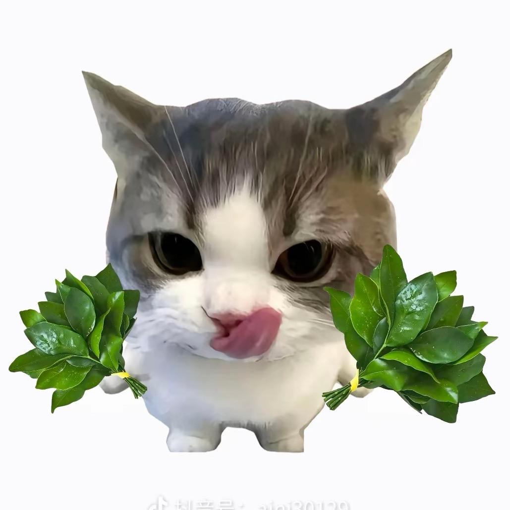 ^小宝