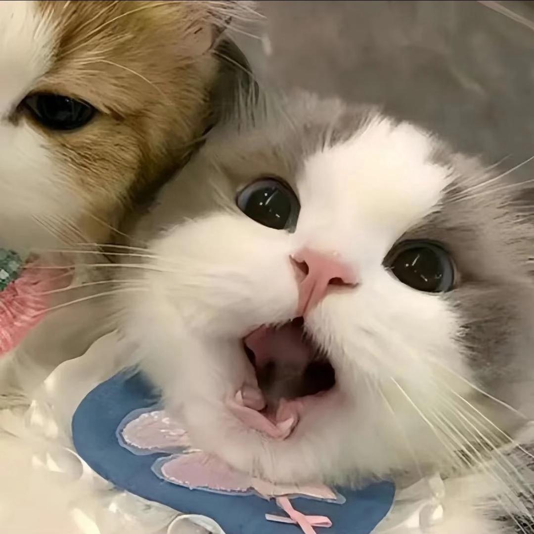 哑呓