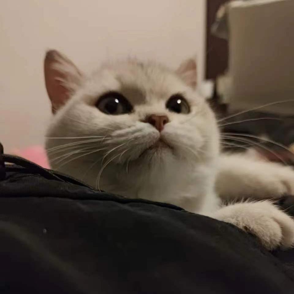 吃不饱