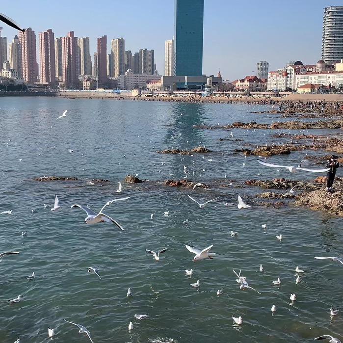 全村驴圈我最犟