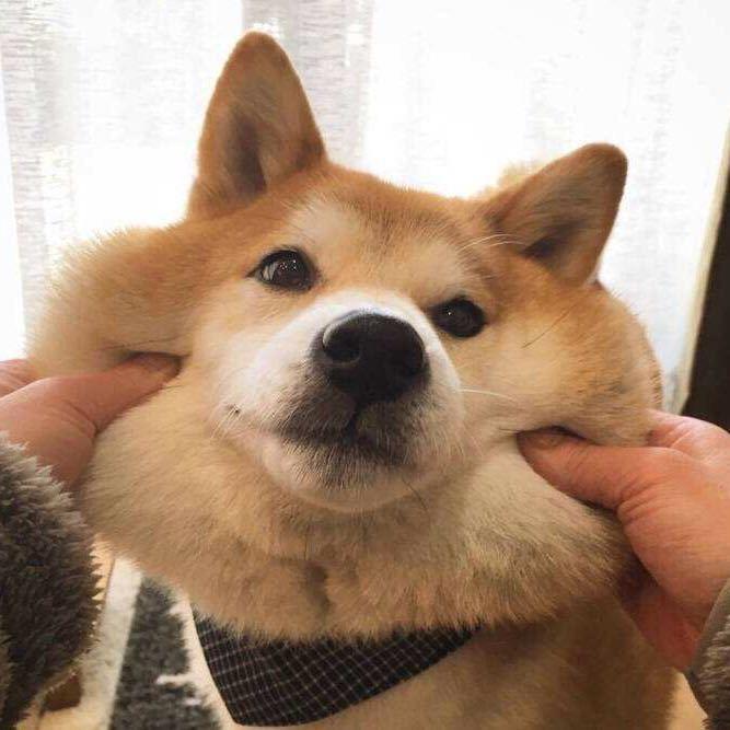 潮流之家