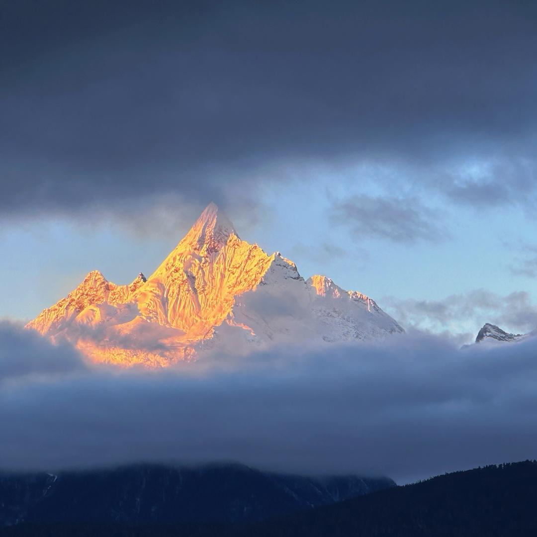 花椒树下谈恋爱