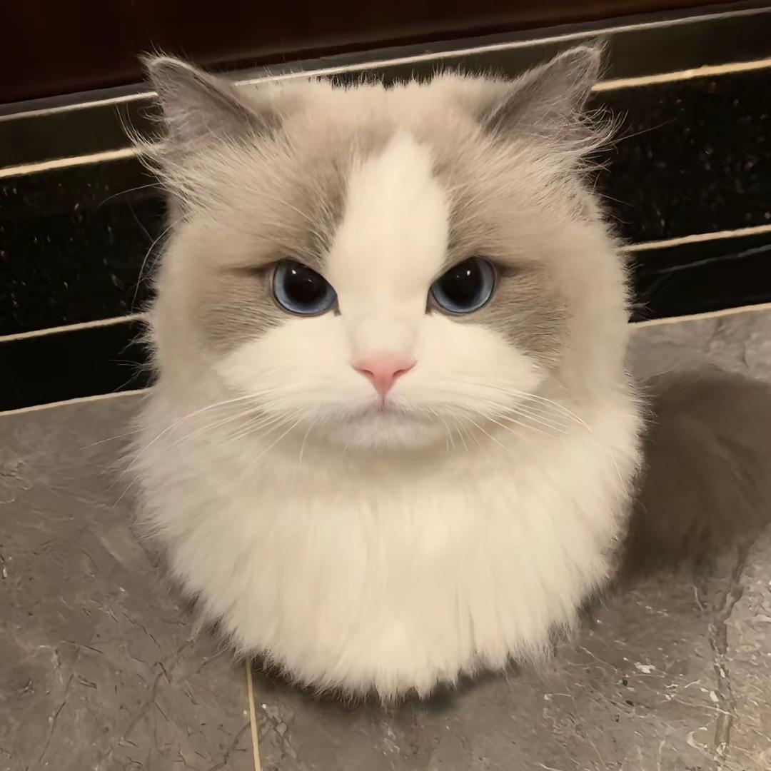 慢慢