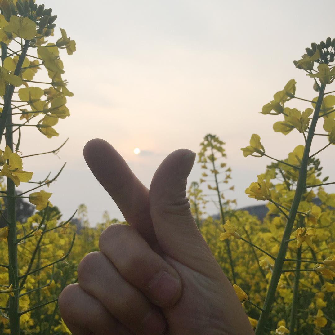 ☀️☀️冬天的阳光☀️☀️