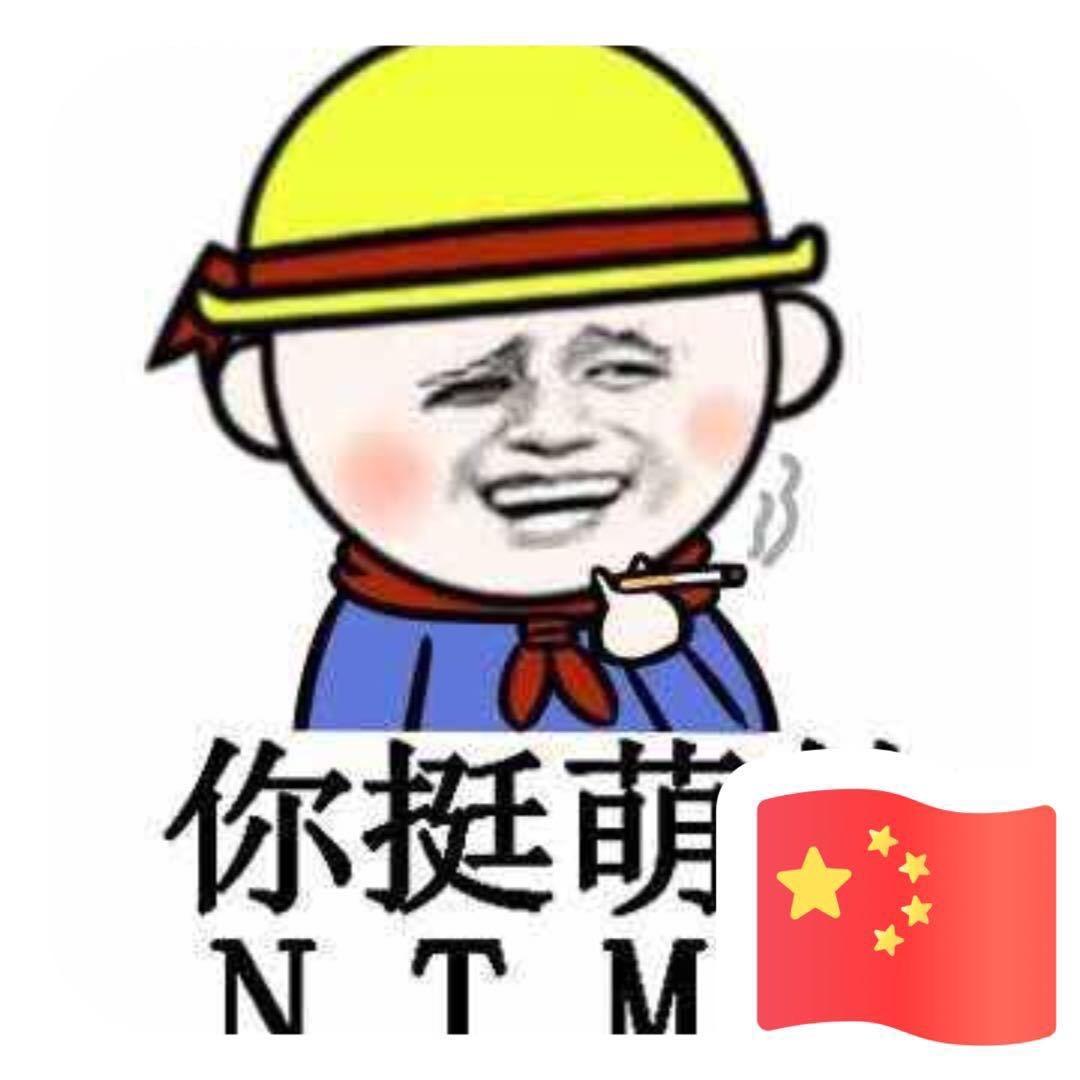 骑猪看大象