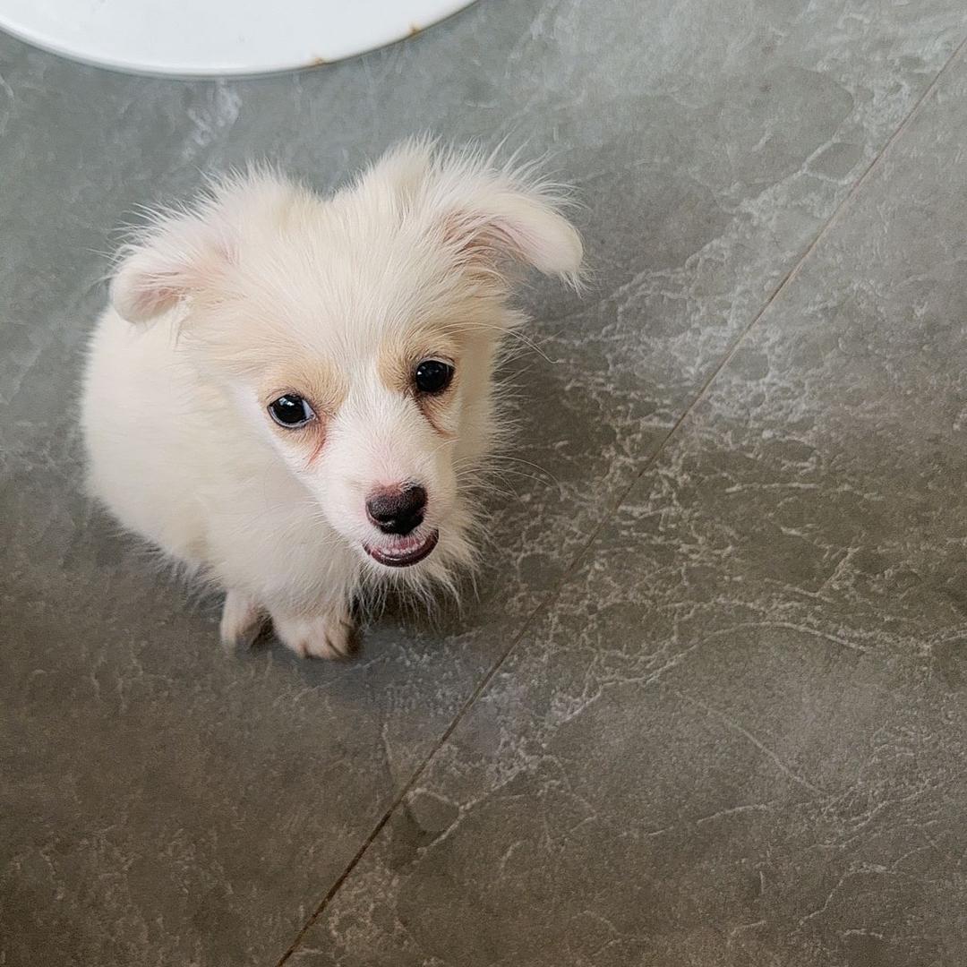 香吉士77777777777