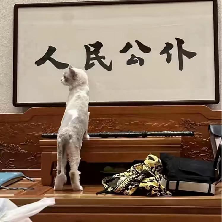 无悔