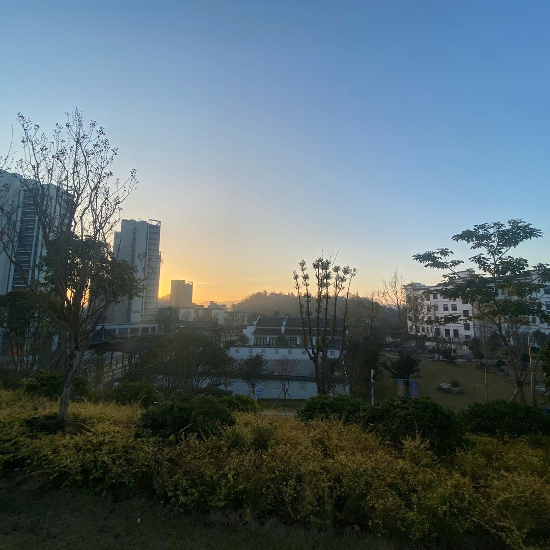 珊珊手机壳