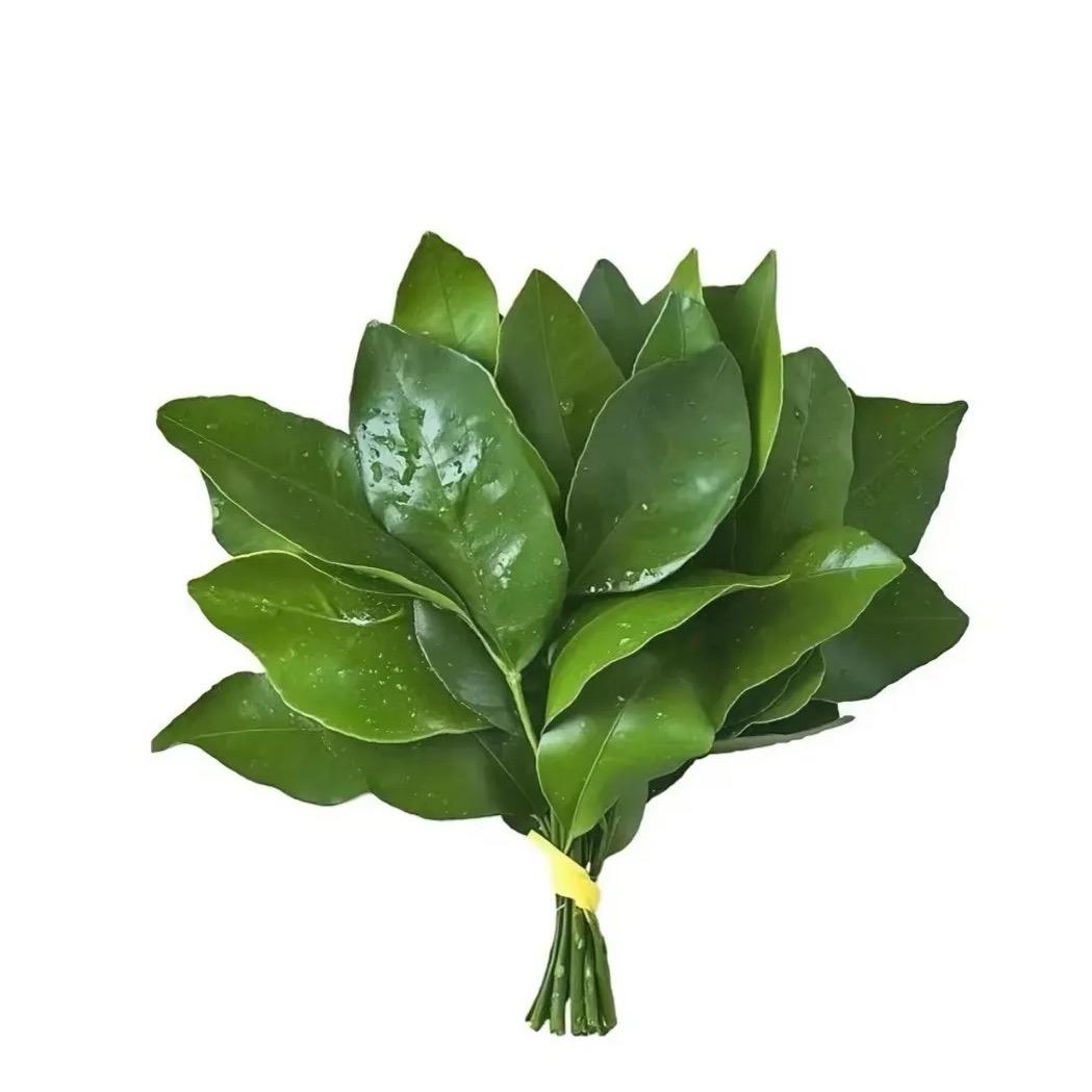 小任是个小不点.(天外来物版。