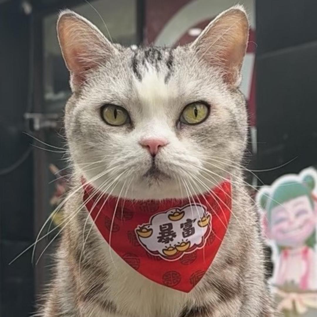 魏官人(真健身版)@抖音