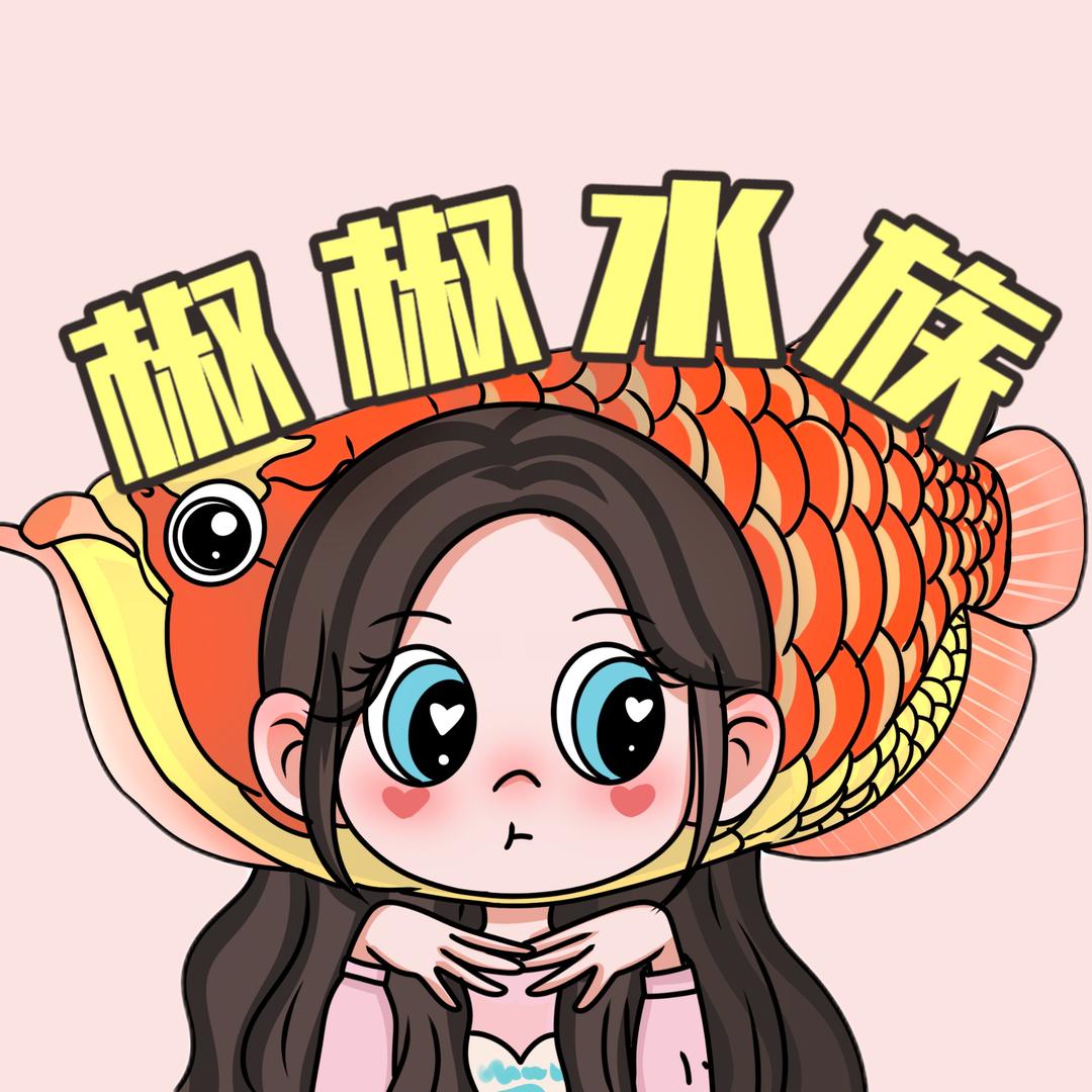 水鸦满堂鸿鱼缸(西南仓储）